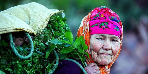 VIAJERO DE LA CIUDAD PERDIDA: TAYFUR COSKUNUZER COLLECCIÓN DE INSTAGRAM